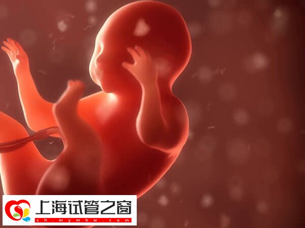 囊胚移植后48小时很关键，坐浴、提重物都不能干